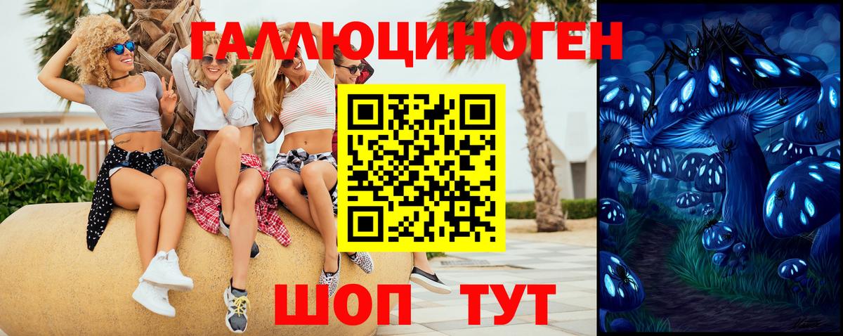 Лесозаводск  Псилоцибиновые грибы Psilocybine cubensis  Вход с VPN 
