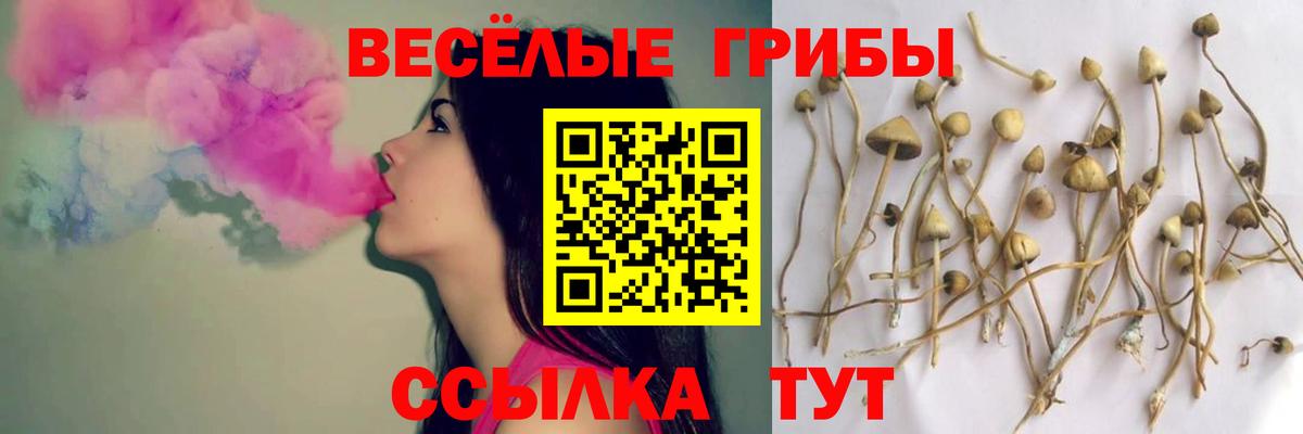 Псилоцибиновые грибы прущие грибы Лесозаводск